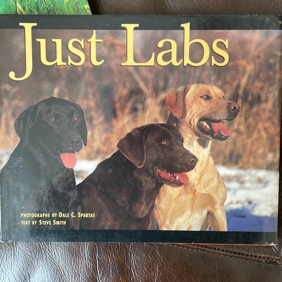 Labrador Retriever Table Book Bundle - Picture 5 of 9